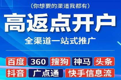 网络推广策略：竞价广告的实践案例